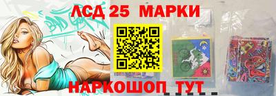 стаф Можга
