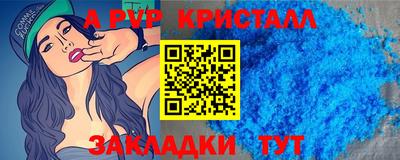 стаф Можга