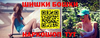 стаф Можга