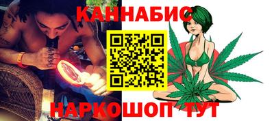 стаф Можга