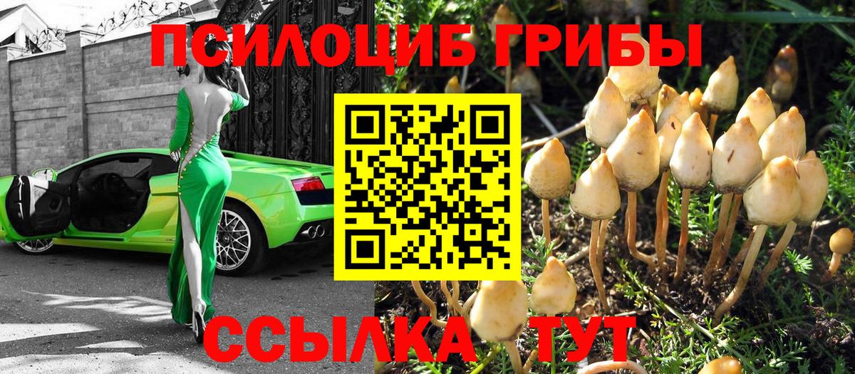 купить наркотики цена  Вход с VPN  Псилоцибиновые грибы Magic Shrooms  Фролово  Галлюциногенные грибы Psilocybine cubensis 